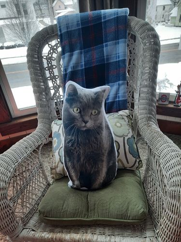 Customer photo review of Create A Custom Cat Pillow