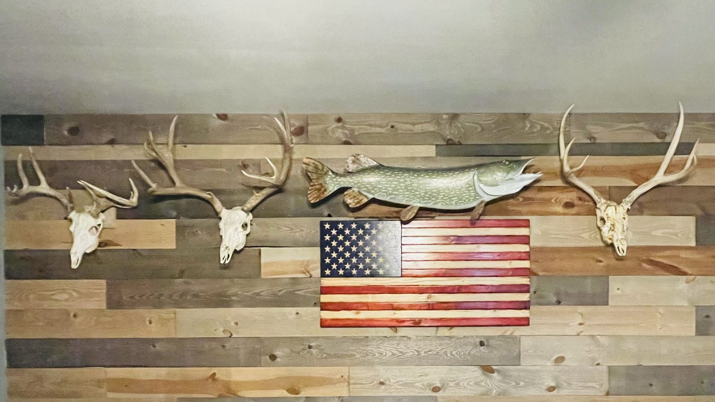 Customer photo review of European Trophy Mount - Small Hook - 5 PACK