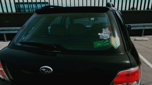 Customer photo review of Halloween Bunny Turbo Sticker