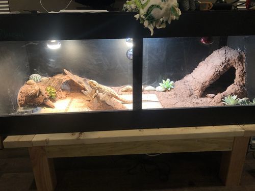 Customer photo review of 60"x24"x24" / 5'x2'x2' Premium PVC Reptile Enclosure
