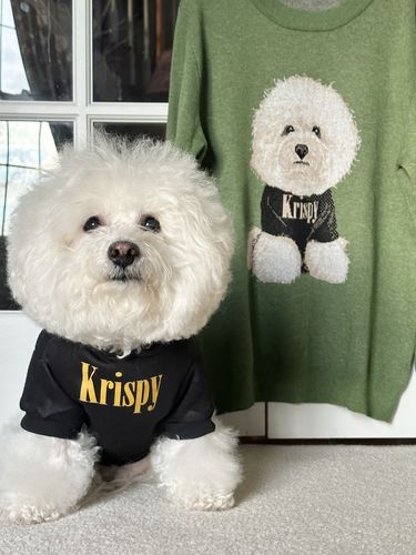 Customer photo review of Full-Body Pet Custom Sweater