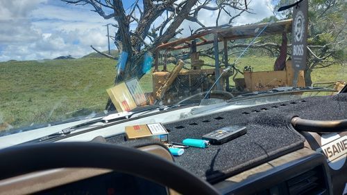Customer photo review of BOSS SKIDS Air Freshener - Coffee