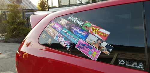Customer photo review of PepeZilla Sticker