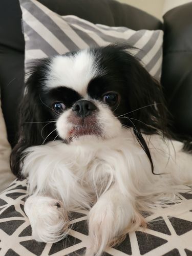 Customer photo review of Black