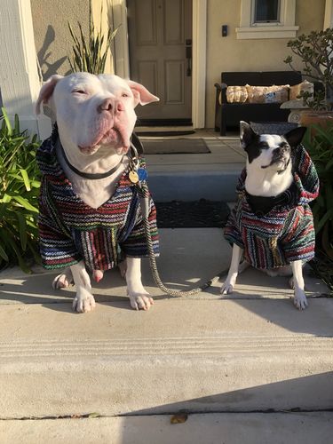 Customer photo review of Playa Poncho - Surprise Color