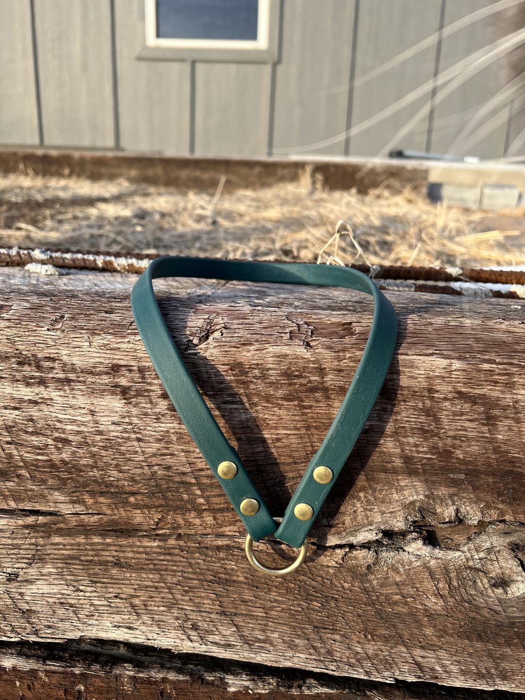 Customer photo review of House Collar