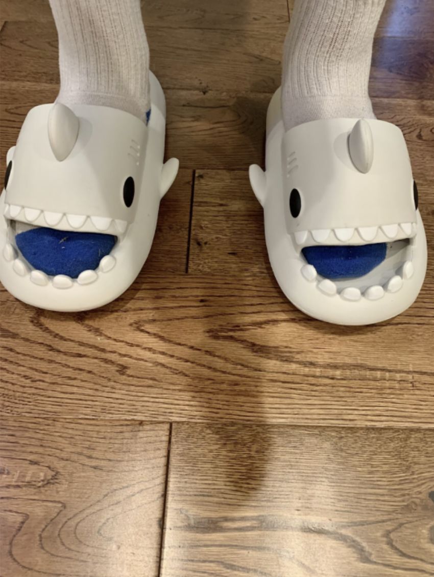 Customer photo review of Sharks Slides - Cloud Slides