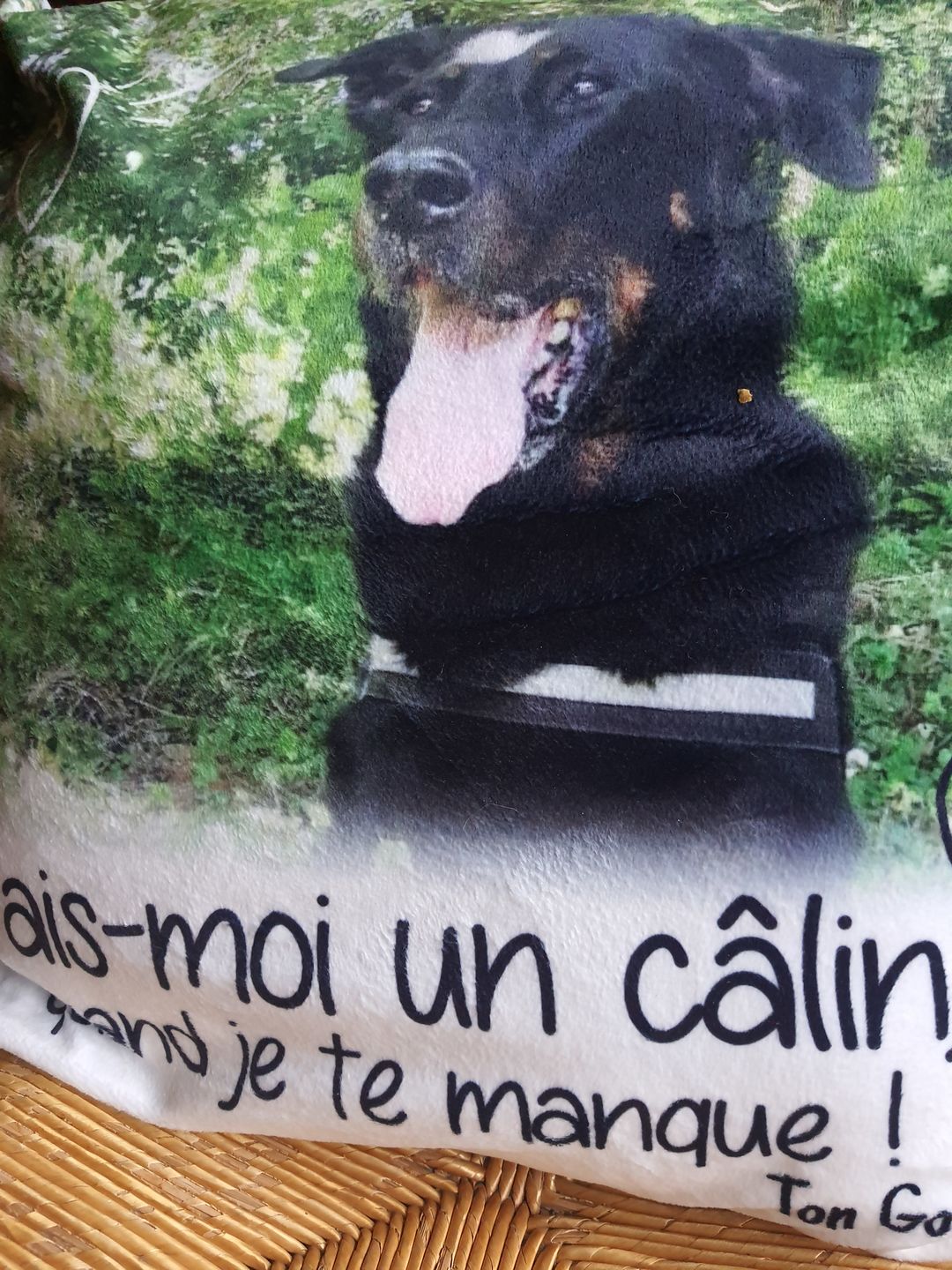 Customer photo review of Fais moi un câlin quand je te manque - Coussin personnalisé