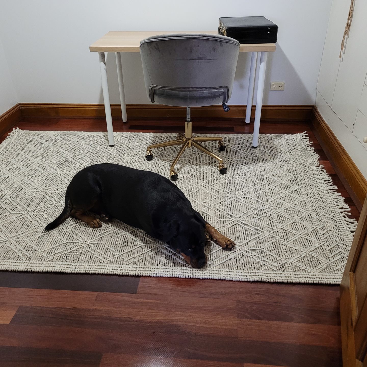 Customer photo review of Anti Slip Rug Stop Pad For Hard Surfaces, Wooden & Tiled