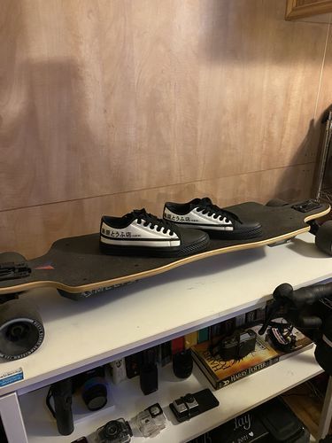 Customer photo review of HTXJPN Fuji2 Low Top Sneakers