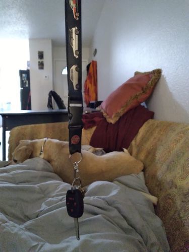 Customer photo review of Honda Civic Lanyard