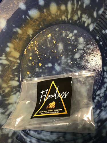 Customer photo review of *TROGO* Flawless '$5,000 GOLD NUGGET DISCOVERY' - Gold Panning Paydirt