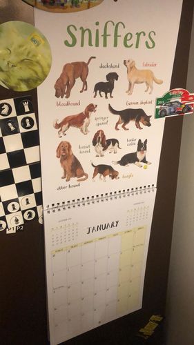 Customer photo review of 2023 'For The Pun Of It' Cheeky Wall Calendar