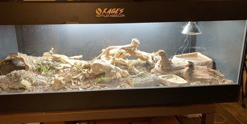 Customer photo review of 60"x24"x24" / 5'x2'x2' Premium PVC Reptile Enclosure