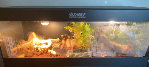 Customer photo review of 60"x24"x24" / 5'x2'x2' Premium PVC Reptile Enclosure