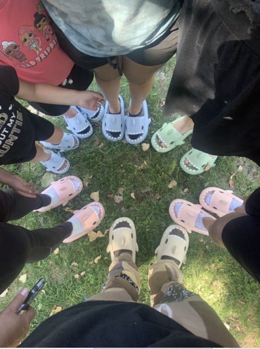 Customer photo review of Sharks Slides - Cloud Slides