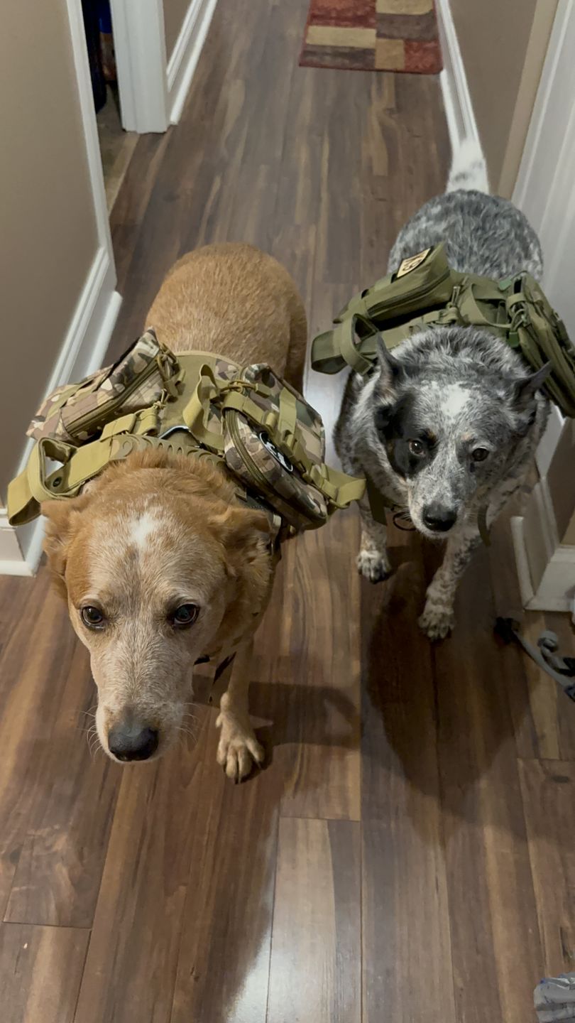 Customer photo review of Tactical Utility MOLLE Pouch For Harness (3-Piece Set)