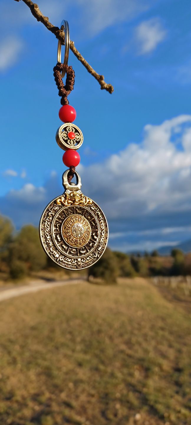 Customer photo review of Amulette Cosmologie