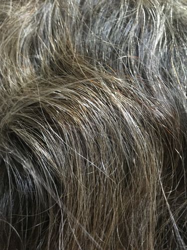 Customer photo review of Plantur 39 Colour Brown Set