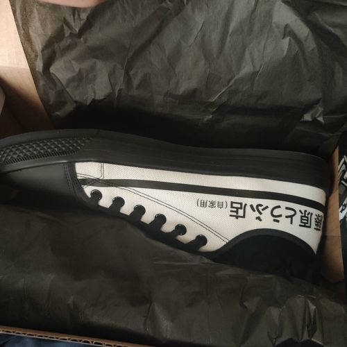 Customer photo review of HTXJPN Fuji2 Low Top Sneakers