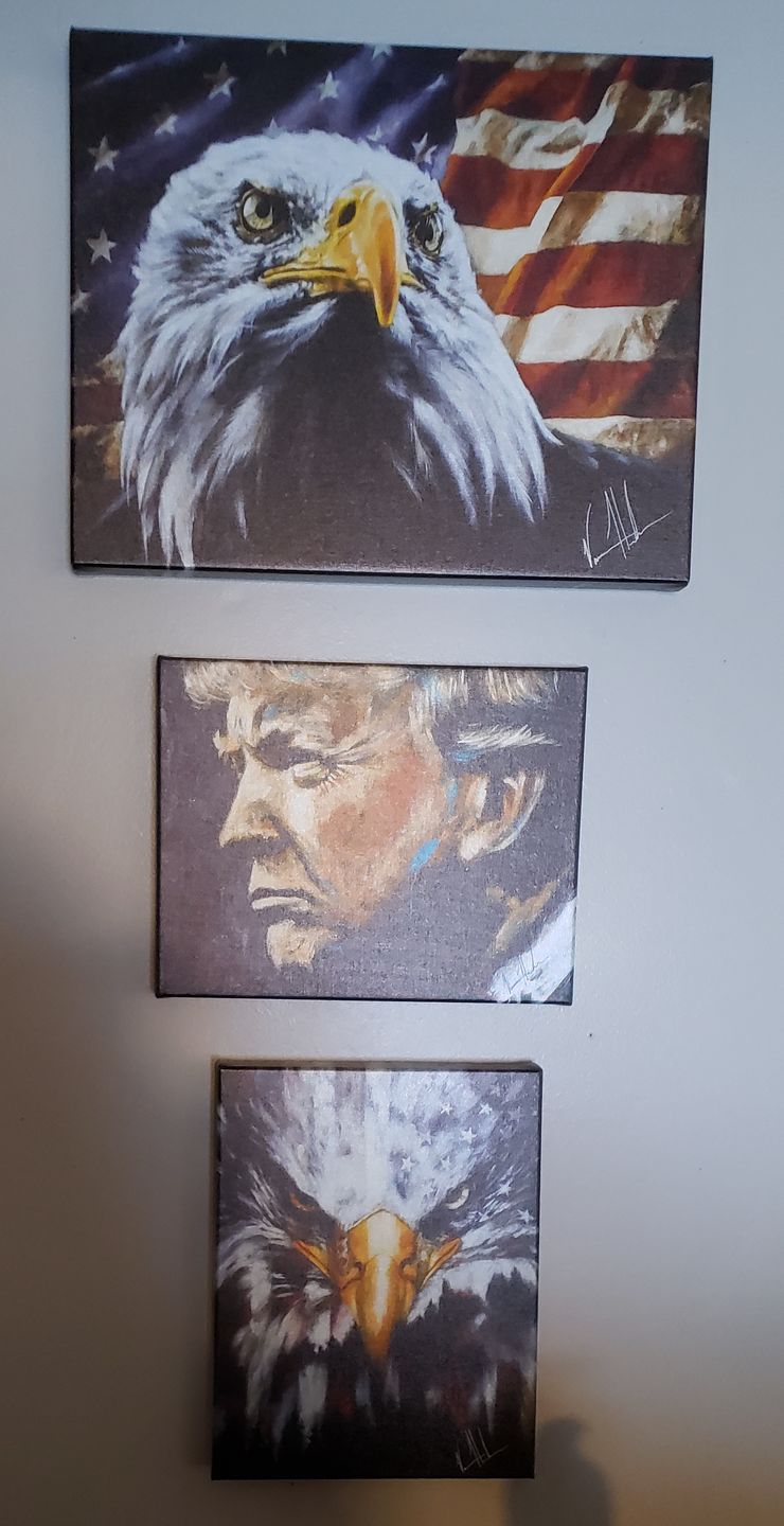 Customer photo review of Stripes of Freedom