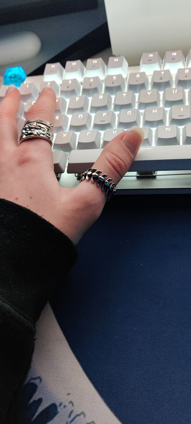 Customer photo review of STEEL SPINE.