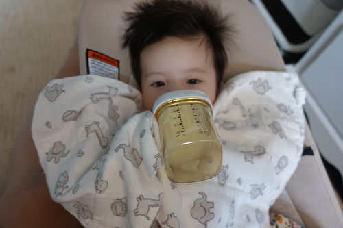 Customer photo review of Hegen Nipple Medium Flow, 2-Pack (3 to 6 months)