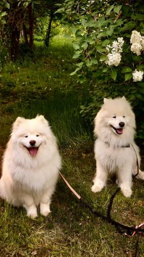 Customer photo review of Diamond Painting Eigenes Foto