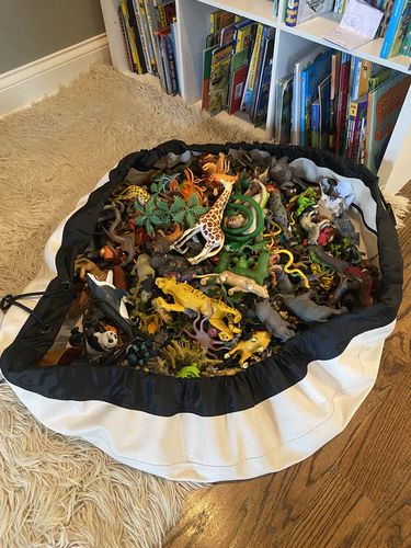 Customer photo review of Large Toy Storage Bag - Canvas