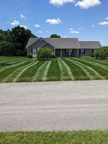 Customer photo review of 0-0-2 MicroGreene