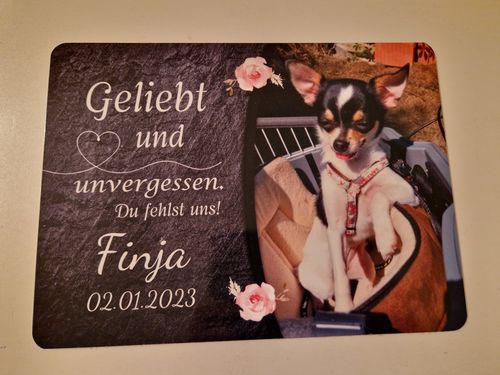 Customer photo review of Hunde Gedenktafel mit Foto & Spruch