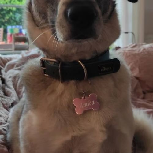Customer photo review of Hundemarke mit Gravur