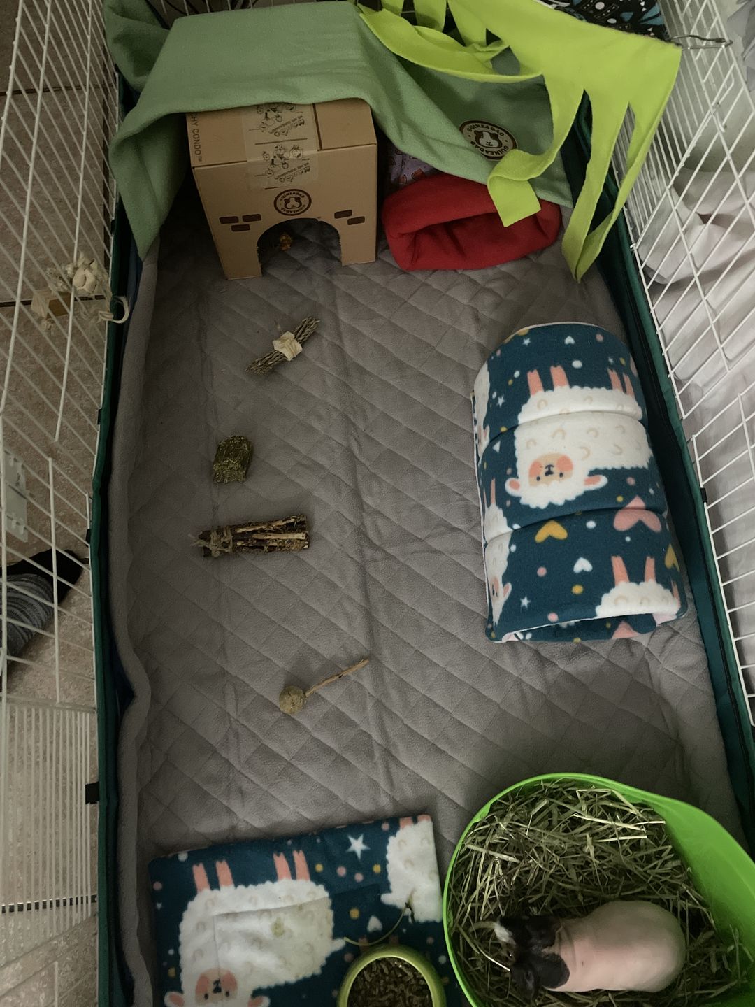 Customer photo review of GuineaDad Liner - Guinea Pig Fleece Liner with Pockets