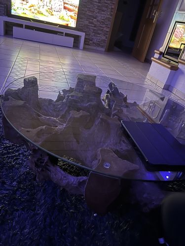 Customer photo review of Wurzel Couchtisch NAGA inkl. Glasscheibe Ø 100 cm auf Stahlfüssen