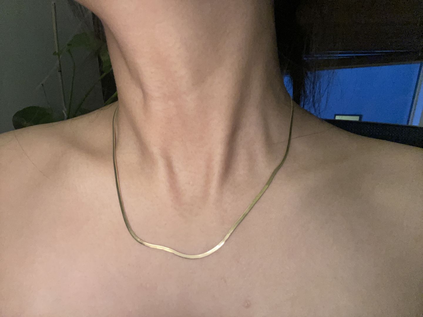 Customer photo review of Fine Essentials Necklace