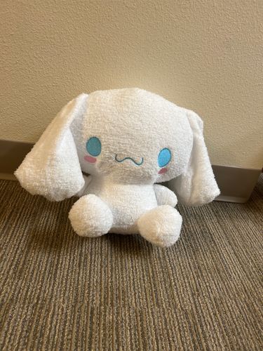 Customer photo review of Kawaii Cinnamoroll Plushie