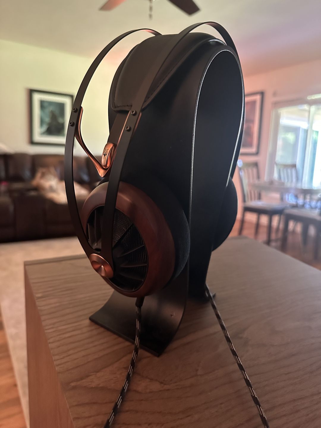 Customer photo review of Meze Audio 109 PRO Headphones