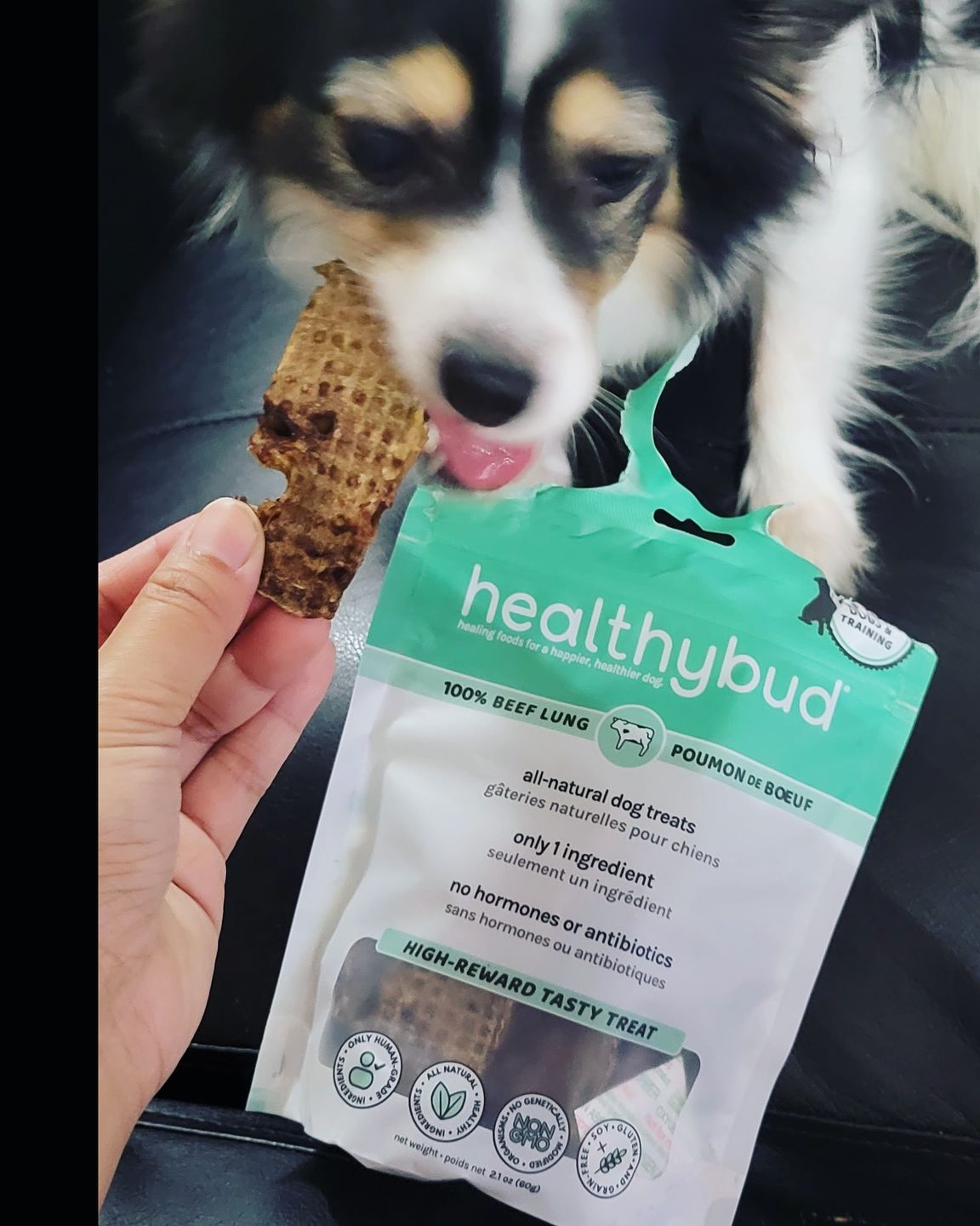Customer photo review of Beef Lung Wafers