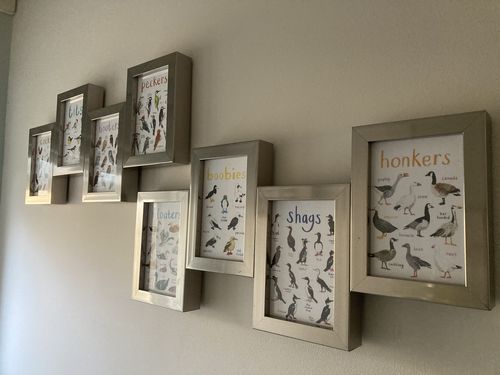 Customer photo review of Boxed Set of 8 Bird Pun Cards