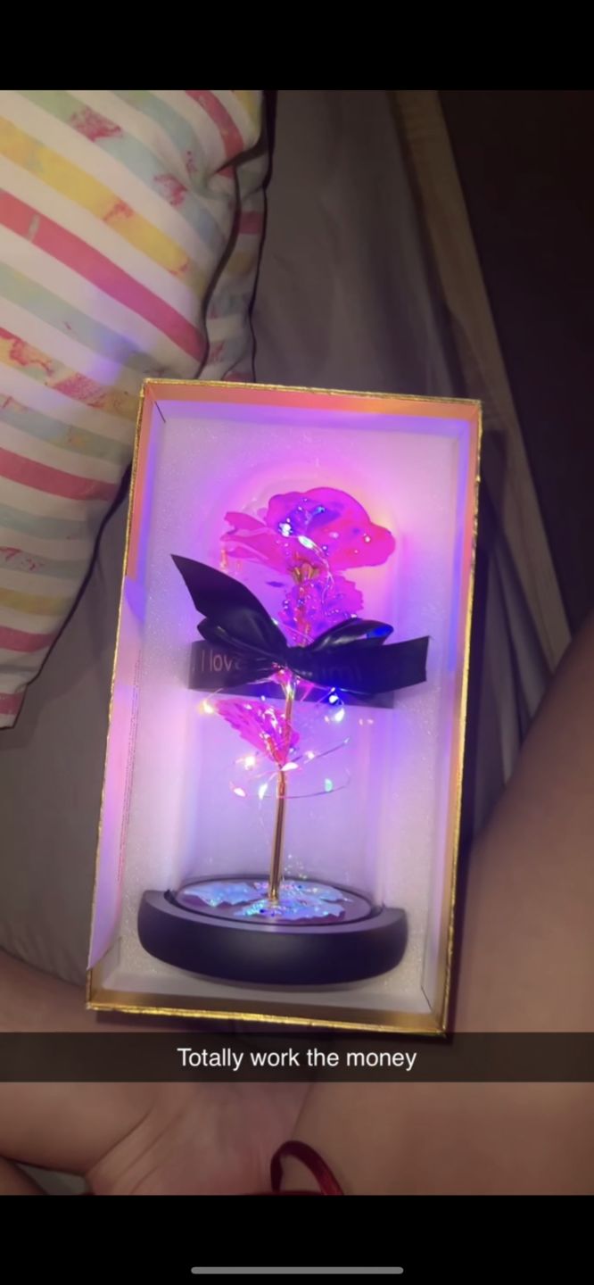 Customer photo review of Pink LED Rose Dome