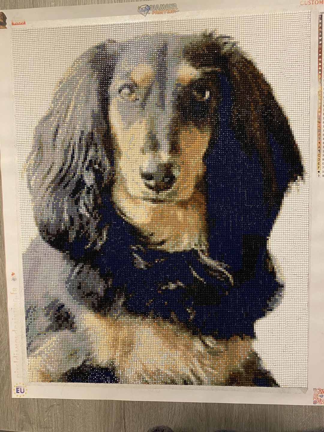 Customer photo review of Diamond Painting Personnalisé