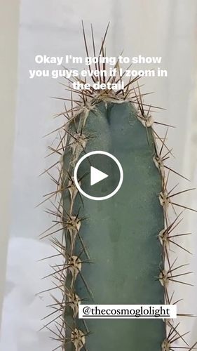 Customer video review of CosmoGlo Mini Ring Light Macro Lens