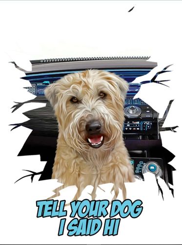 Customer photo review of Custom 1 Pet Decals (10 Backgrounds)