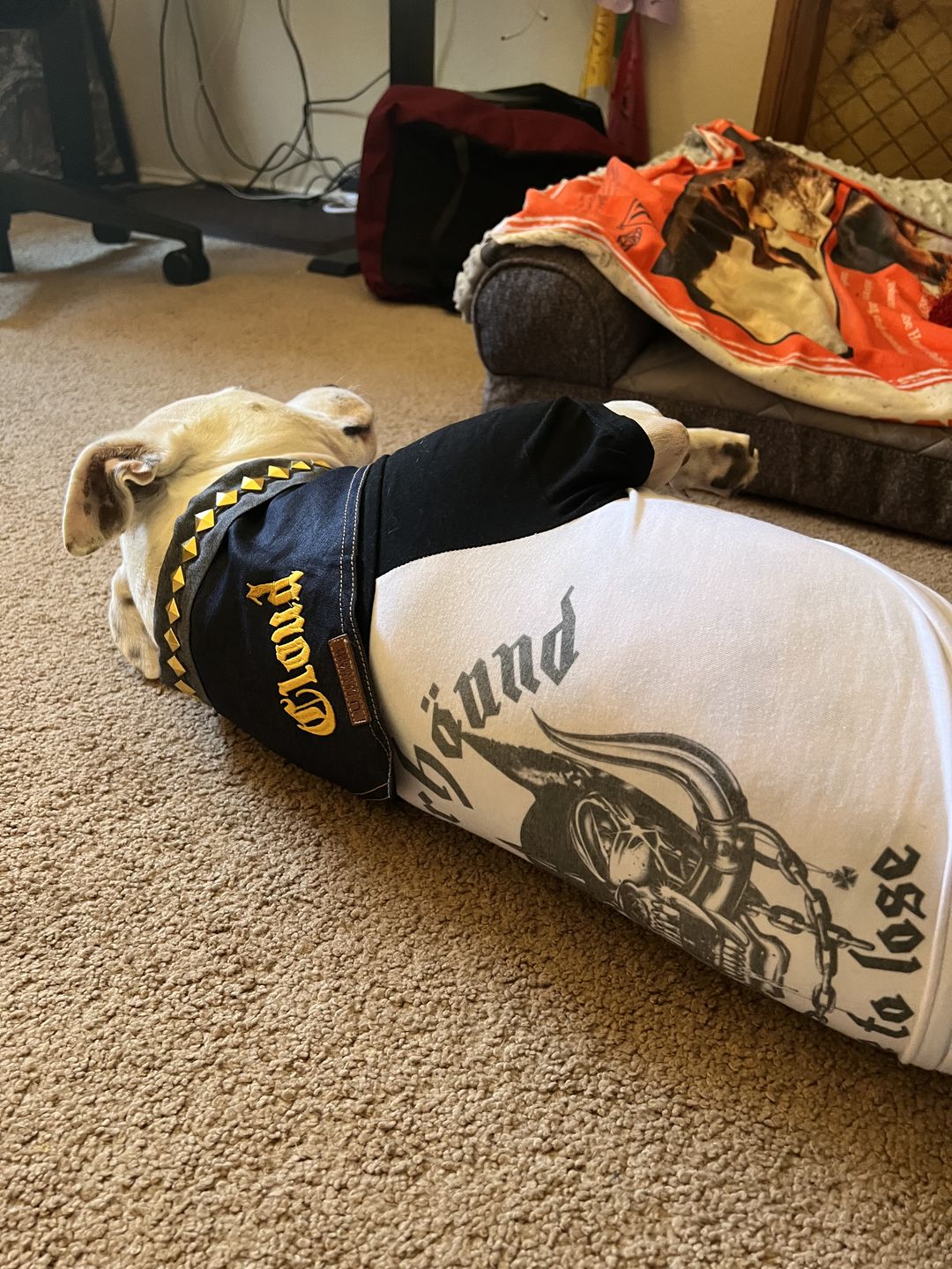 Customer photo review of Motorhound Raglan Dog Tee