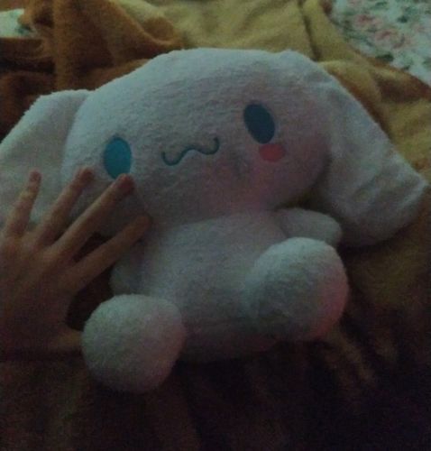 Customer photo review of Kawaii Cinnamoroll Plushie