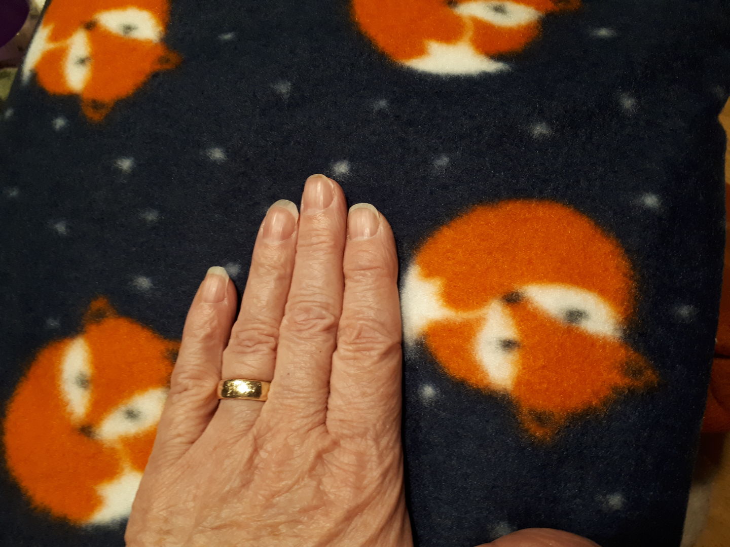Customer photo review of Sleeping Foxes Anti Pill Polar Fleece Fabric