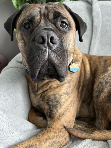 Customer photo review of Beach Silicone