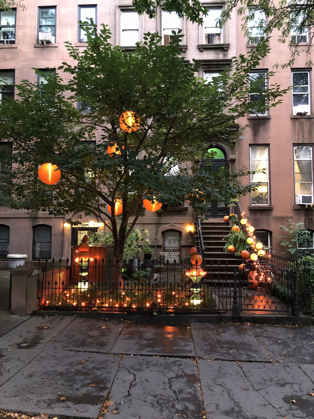 Customer photo review of 23" White Moravian Weatherproof Star Lantern Lamp, Multi-Point Hanging Decoration