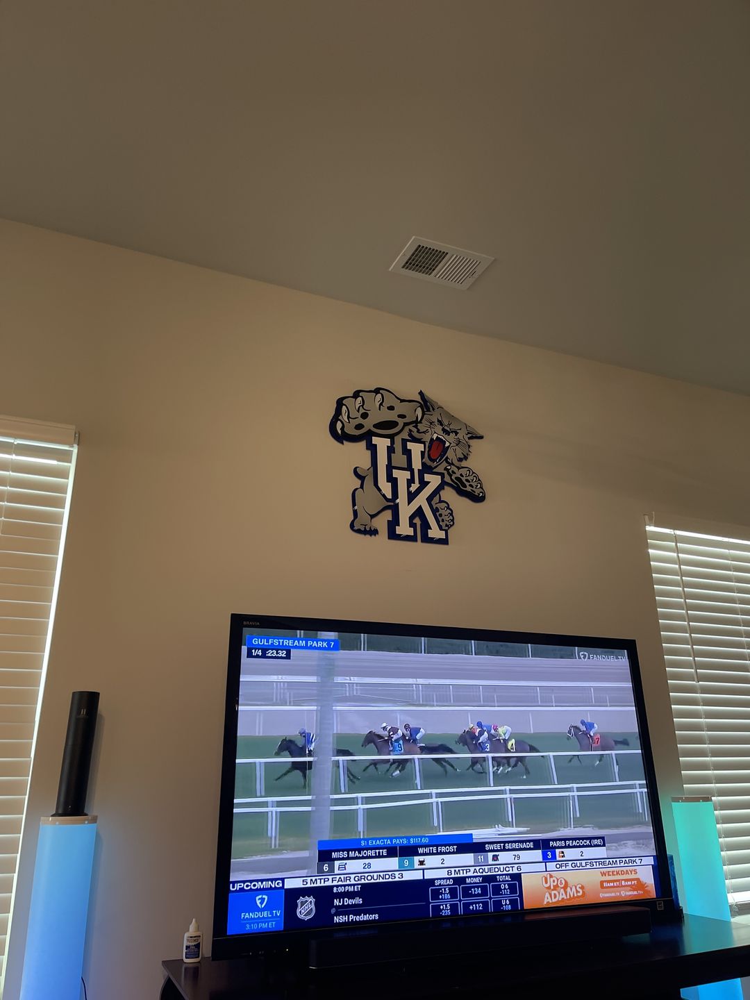 Customer photo review of Kentucky "Wildcat over UK" 1989-94, 3D Vintage Metal Wall Art