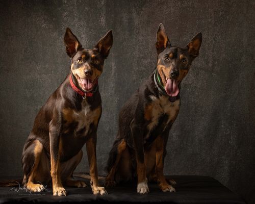 Customer photo review of Kate Abstract Dark Color Retro Backdrop for Photography